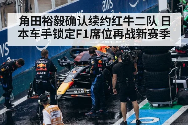 Red Bull F1 team