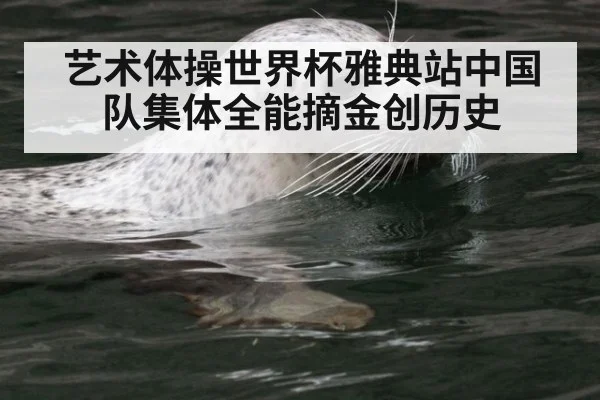 艺术体操世界杯雅典站中国队集体全能摘金创历史